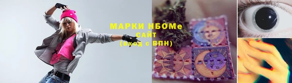 шишки Верея